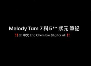 （分類：）位於 。 由 x.h1234_ 提交（商品編號 1454725229，圖片 1）。簡介： 。