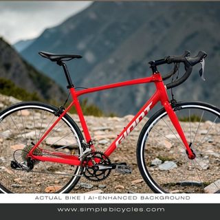 (Category: ) located in . Submitted by simplebicycles.com (Listing ID 1454750586, Image 1). Description: .
