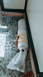 （分類：）位於 。 由 foulking 提交（商品編號 1454582546，圖片 1）。簡介： 。