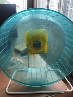 (Category: ) located in . Submitted by velocity.precision (Listing ID 1454621622, Image 1). Description: .