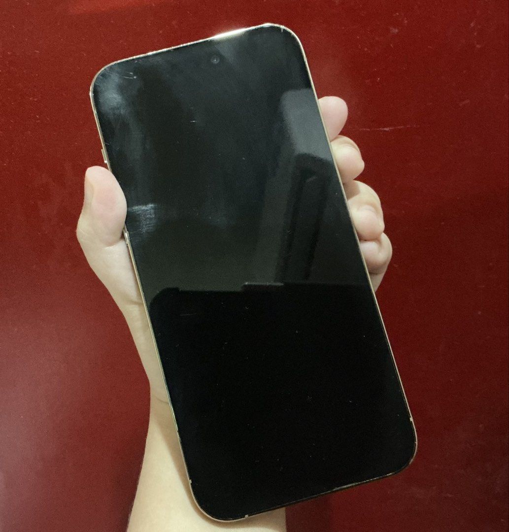 iPhone 14 Pro Max 256gb Gold RUSH‼️ (Category: iPhone 14 Series) located in Quezon City. Submitted by chubiboerni (Listing ID 1454708443, Image 2). Description: Battery Health: 76% Inclusions: - box & charger - openline RFS: need funds.