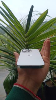 (Category: ) located in . Submitted by fahad7862m38461 (Listing ID 1454620027, Image 1). Description: .