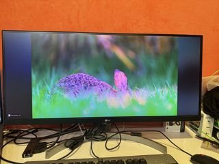 (Category: ) located in . Submitted by fastocean_c35ac8 (Listing ID 1454571213, Image 1). Description: .