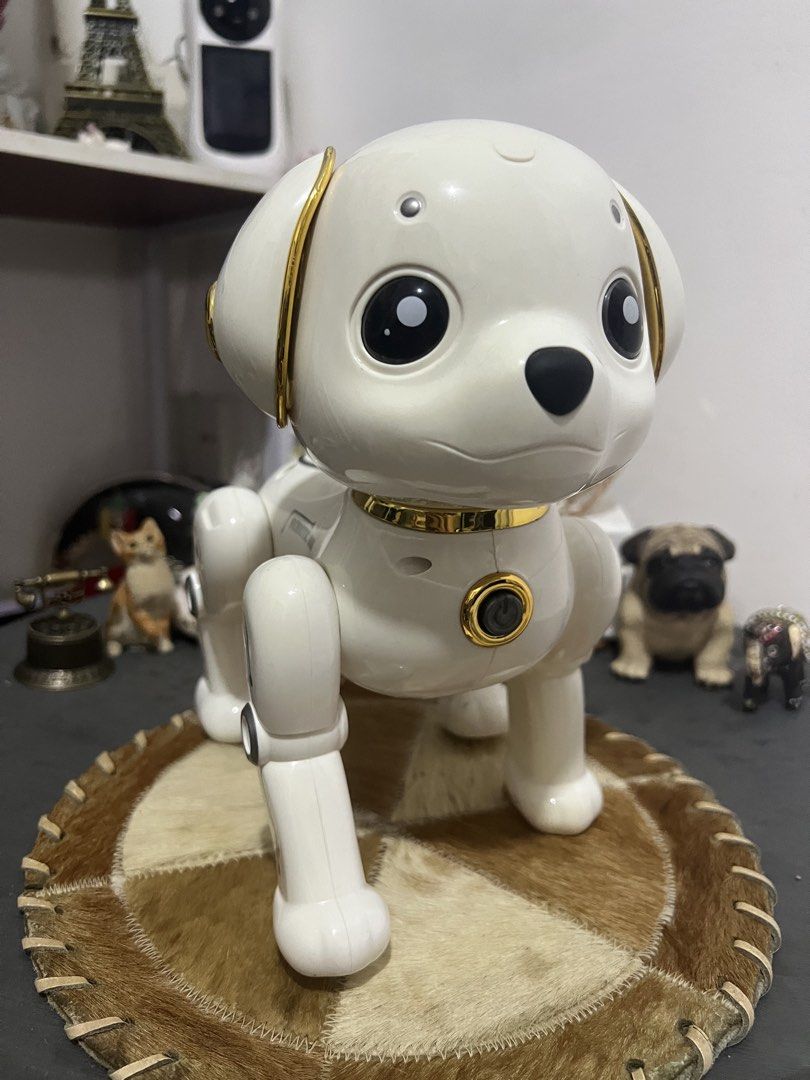 Robotic Dog (Category: Community) located in Las Pinas. Submitted by maple0305 (Listing ID 1454660830, Image 1). Description: For Display na lang sya no remote na sya need na palitan ng battery.