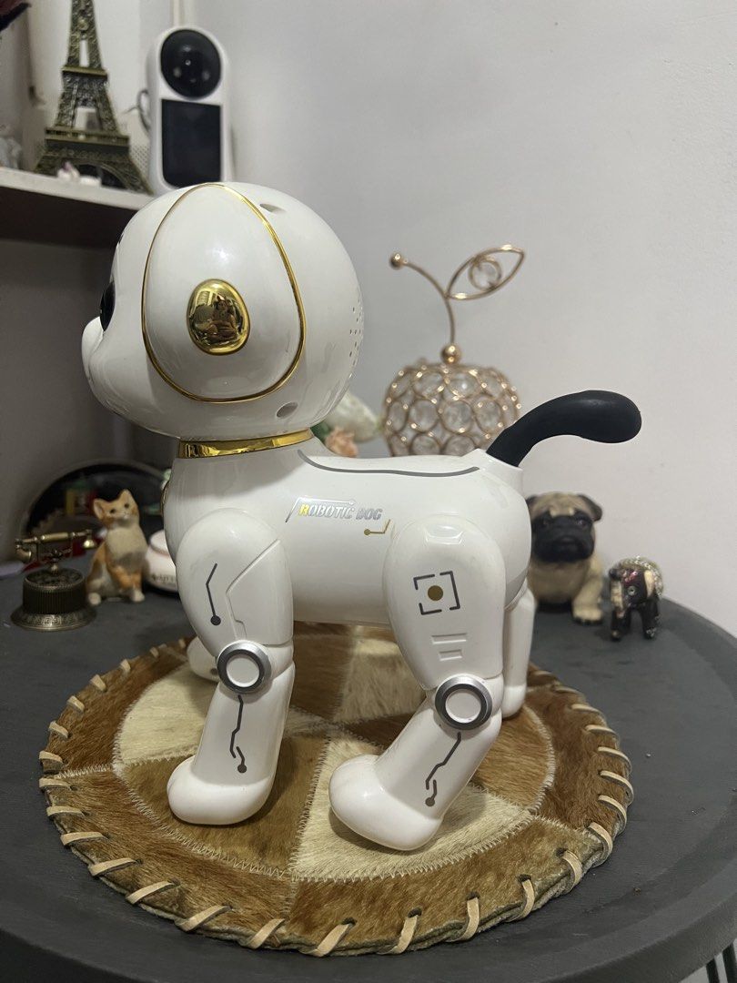 Robotic Dog (Category: Community) located in Las Pinas. Submitted by maple0305 (Listing ID 1454660830, Image 3). Description: For Display na lang sya no remote na sya need na palitan ng battery.