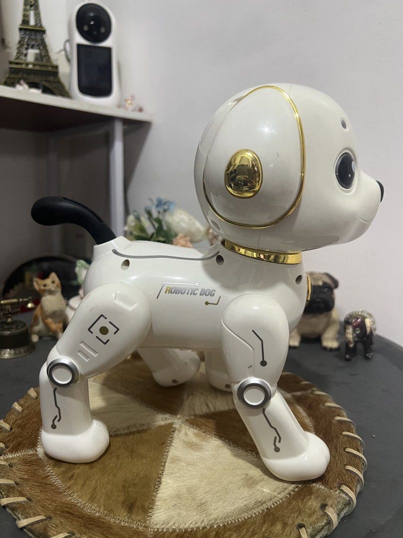 Robotic Dog (Category: Community) located in Las Pinas. Submitted by maple0305 (Listing ID 1454660830, Image 2). Description: For Display na lang sya no remote na sya need na palitan ng battery.