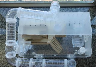 （分類：）位於 。 由 thebeagleo 提交（商品編號 1454591968，圖片 1）。簡介： 。