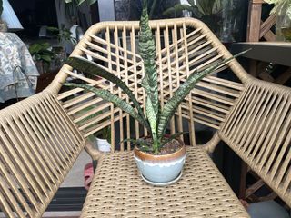 (Category: ) located in . Submitted by happy2000 (Listing ID 1443415008, Image 1). Description: .