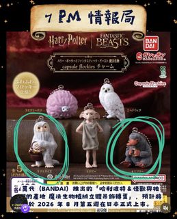 （分類：）位於 。 由 wind_windor 提交（商品編號 1458953054，圖片 1）。簡介： 。
