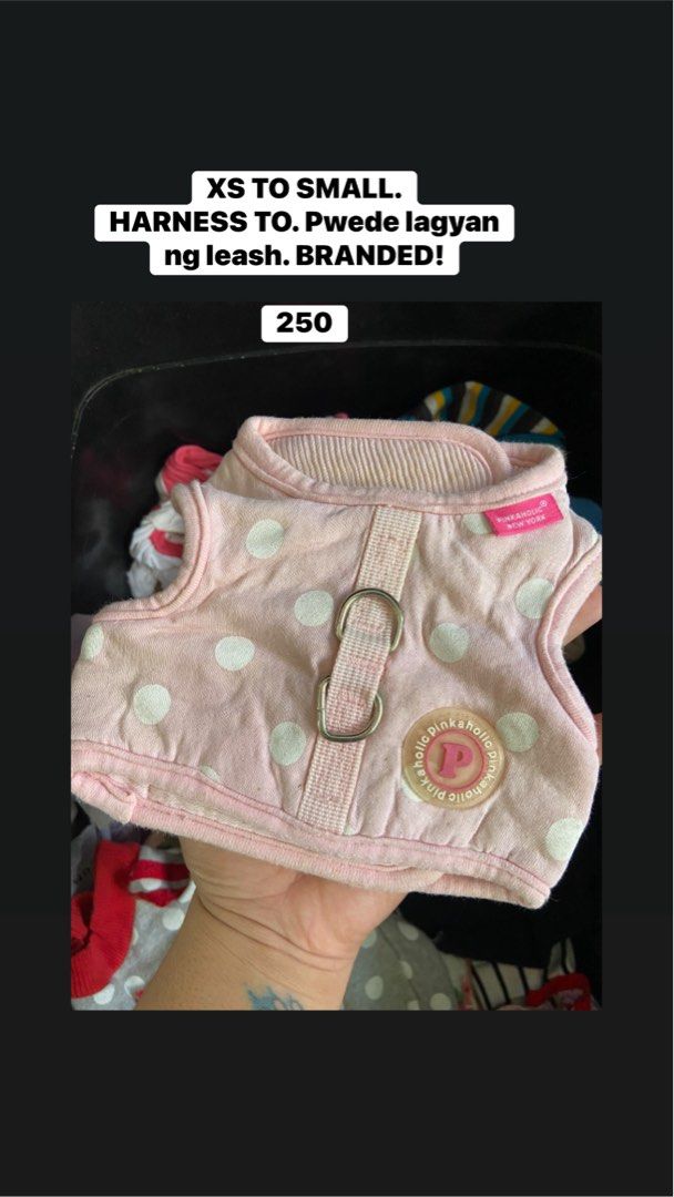BRANDED Pet clothes (Category: Homes & Other Pet Accessories) located in Bayombong. Submitted by its.mariannemae (Listing ID 1459019080, Image 2). Description: Branded pet clothes for cats and dogs. Sizes and prices are already posted. .