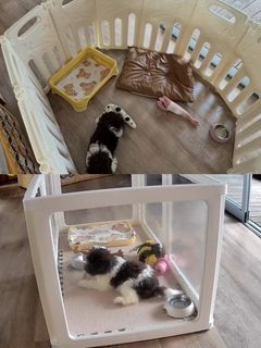 (Category: ) located in . Submitted by yj_huo (Listing ID 1459011897, Image 1). Description: .