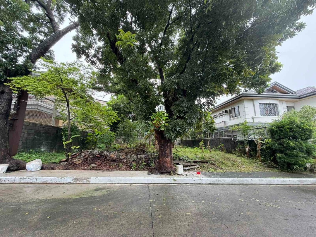 (Category: ) located in . Submitted by rainsrn (Listing ID 1458999518, Image 1). Description: .