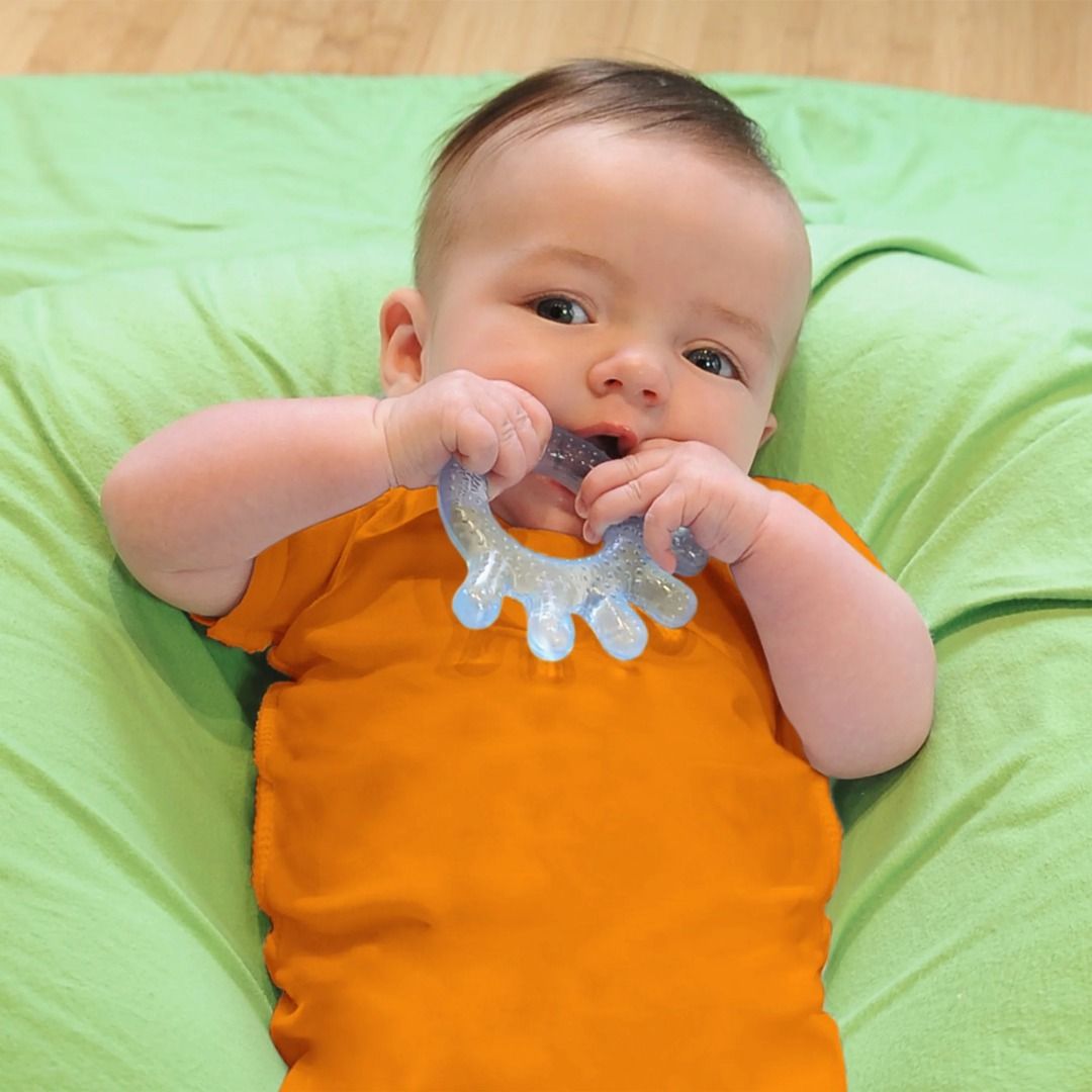 Green Sprouts Baby Cool Everyday Teethers (2 pack - Green & Blue) (Category: Infant Playtime) located in Makati City. Submitted by travelfinds34611 (Listing ID 1458977102, Image 2). Description: GREAT CONDITION. USED 1-2x ONLY Green Sprouts Baby Cool Everyday Teethers (2 pack - Green & Blue) - Set of two baby teethers - Colors: Blue and Green - can be chilled in the fridge to soothe sore gums - Textured surface - Designed for easy grip by little 