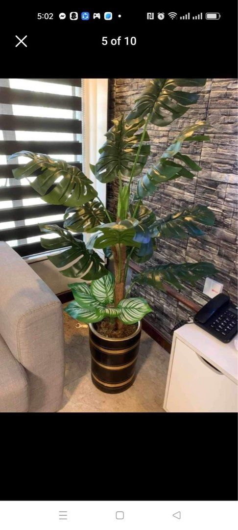 Large Artificial Potted Plants for Home Decor (Category: Artificial Plants & Flowers) located in Manila. Submitted by shemineforever (Listing ID 1459011241, Image 3). Description: - Large artificial plant - Lush green leaves and realistic trunk - Comes in a stylish pot - Adds greenery to any room without the hassle of real plants - Easy to maintain - Looks good anywhere - Perfect for living rooms, offices, or balconies - Adds a natural feel to yo