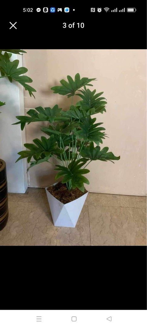 Large Artificial Potted Plants for Home Decor (Category: Artificial Plants & Flowers) located in Manila. Submitted by shemineforever (Listing ID 1459011241, Image 1). Description: - Large artificial plant - Lush green leaves and realistic trunk - Comes in a stylish pot - Adds greenery to any room without the hassle of real plants - Easy to maintain - Looks good anywhere - Perfect for living rooms, offices, or balconies - Adds a natural feel to yo