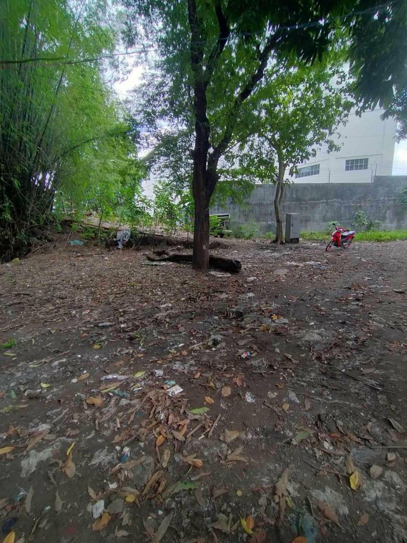 Lot in San Pedro laguna (Category: Lot) located in Santa Cruz. Submitted by olxph_82510727 (Listing ID 1458920108, Image 3). Description: near in slex 1530 sqm.