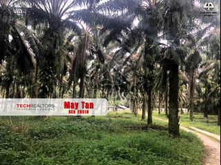 (Category: ) located in . Submitted by mudah719154 (Listing ID 1458861727, Image 1). Description: .