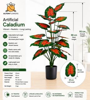 (Category: ) located in . Submitted by altonflowerscomm (Listing ID 1458940021, Image 1). Description: .