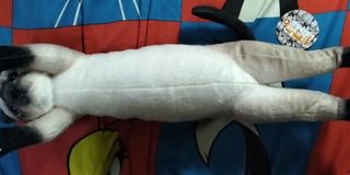 (Category: ) located in . Submitted by jackykan86 (Listing ID 1458906065, Image 1). Description: .