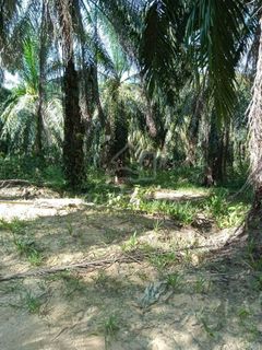 (Category: ) located in . Submitted by hamizamahrol (Listing ID 1444092826, Image 1). Description: .