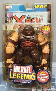 Marvel Legends  Collection item 1
