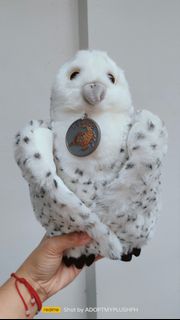 (Category: ) located in . Submitted by adopt.my.plush.ph (Listing ID 1460805127, Image 1). Description: .