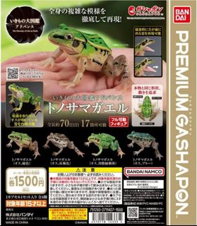 （分類：）位於 。 由 zoefung41 提交（商品編號 1460858669，圖片 1）。簡介： 。