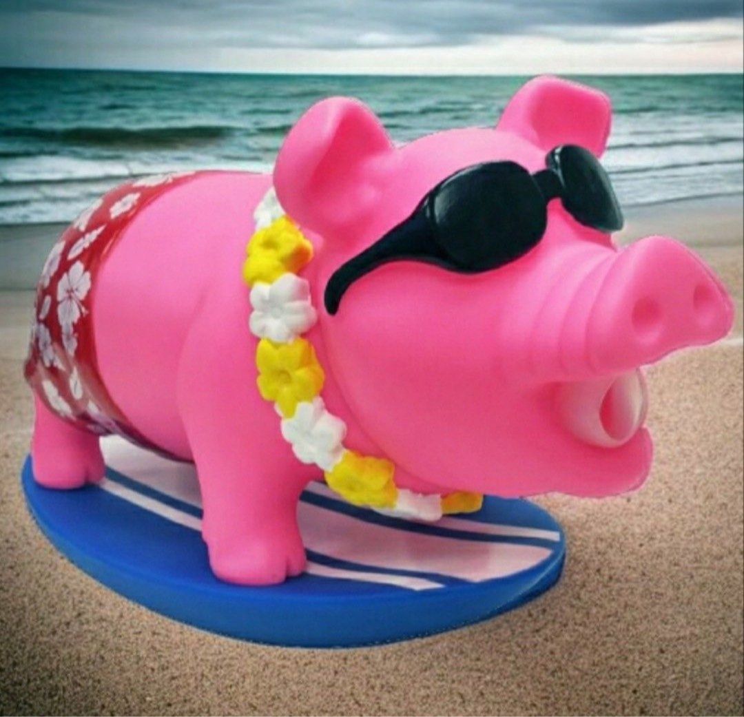 Animolds Squeeze Me Surf Piggie (Category: Designer & Blind Box Toys) located in Las Pinas. Submitted by defg35 (Listing ID 1460725656, Image 1). Description: Brand new.