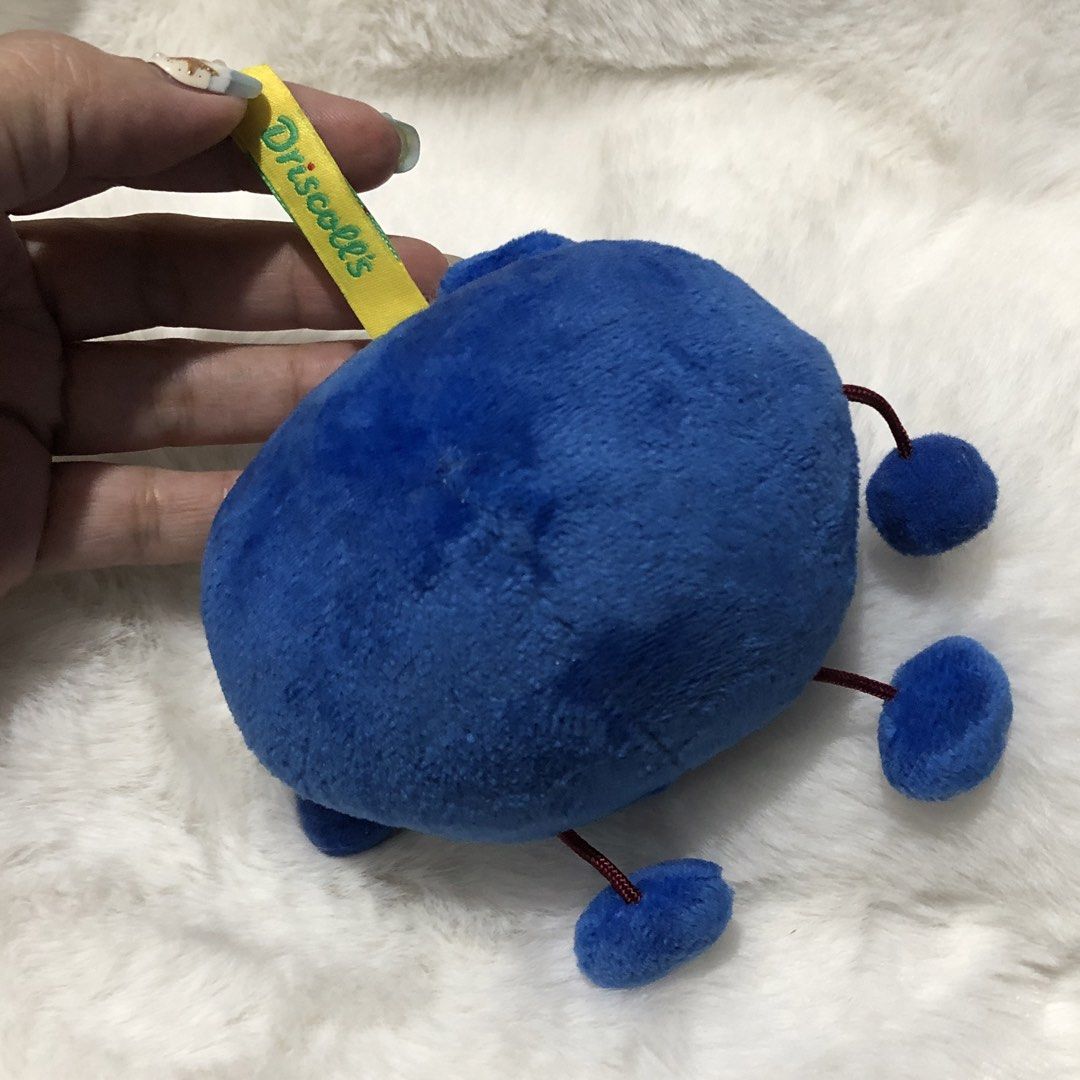 Driscoll’s Blue Charm (Category: Infant Playtime) located in Quezon City. Submitted by kitsune.treasures (Listing ID 1460781699, Image 3). Description: *First to pay policy! *1 day reservation only. Failure to pay on time, auto cancel. 📍Quezon City * MOD: J&T | Lalamove * MOP: GCASH | BPI 📦ON HAND AND READY TO SHIP! CONDITION: WHAT YOU SEE IS WHAT YOU GET. Dimensions: Kindly check the photos for the actual measurements. Please check all the pho