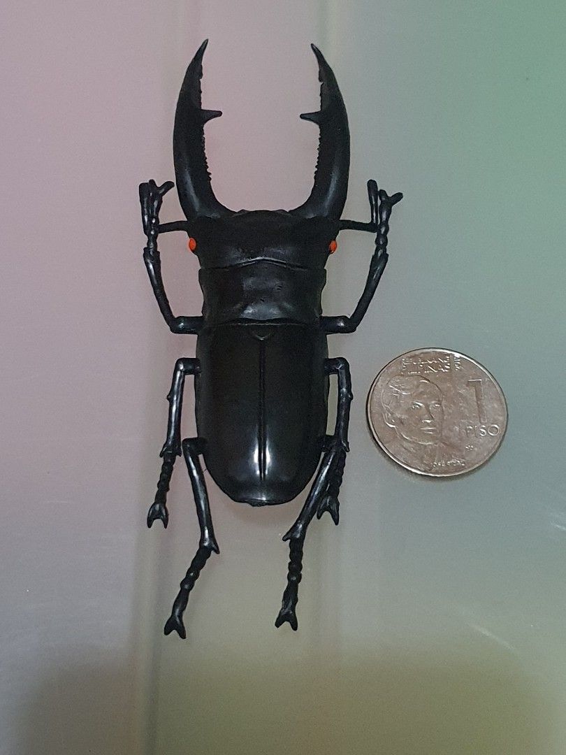 Giraffe Stag Beetle insect Toy (Category: Figurines & Statues) located in Quezon City. Submitted by collectionneursonline88 (Listing ID 1460910993, Image 2). Description: 🔄 Meetups Balintawak Camachile 7/11 Quezon City 🛵 Shipping : - Lalamove ( except Provincial) - Flash Express - GogoExpress - LBC 📥 Payment : cash on meetups Gcash.