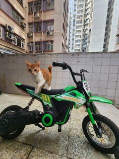 （分類：）位於 。 由 johnnyg69 提交（商品編號 1460920647，圖片 1）。簡介： 。