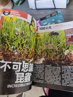 （分類：）位於 。 由 Tiger25 提交（商品編號 1460765699，圖片 1）。簡介： 。