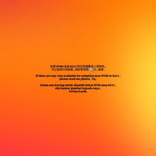 (Category: ) located in . Submitted by tiger.628 (Listing ID 1460875823, Image 1). Description: .