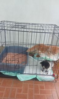 (Kategori: ) berada di . Dikirim oleh xallysiaxx (ID iklan 1460755370, Gambar 1). Deskripsi: .