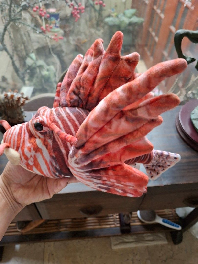 Lionfish Stuffed Toy (Category: Plushies & Soft Toys) located in Quezon City. Submitted by pure_trinsky (Listing ID 1460753747, Image 1). Description: *Realistic lionfish *in good condition *Rare *Nice collection for fish lovers.