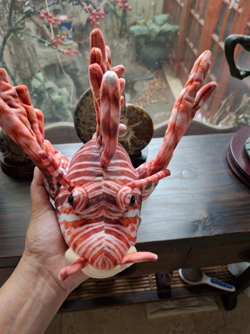 Lionfish Stuffed Toy (Category: Plushies & Soft Toys) located in Quezon City. Submitted by pure_trinsky (Listing ID 1460753747, Image 2). Description: *Realistic lionfish *in good condition *Rare *Nice collection for fish lovers.