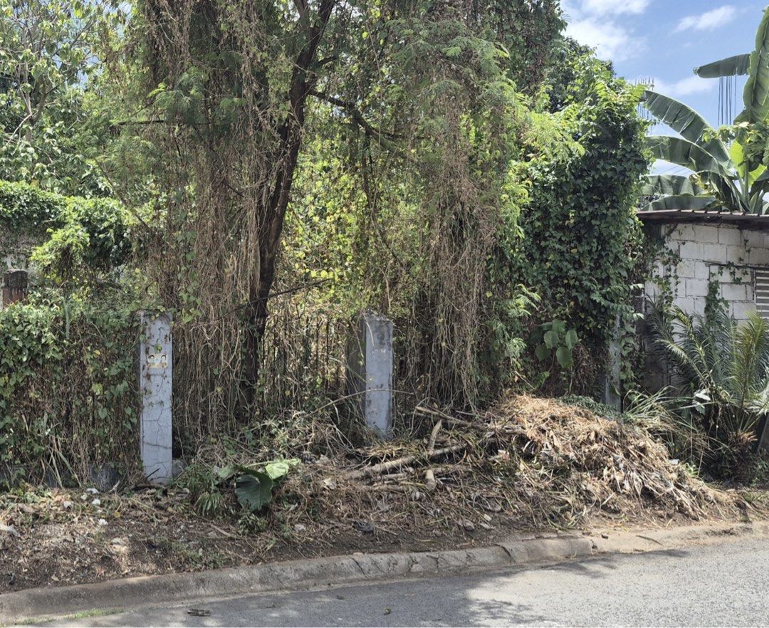 lot for sale (Category: Lot) located in Quezon City. Submitted by jackiebueza10 (Listing ID 1460731997, Image 1). Description: lot for sale in quezon city inside the subdivision lot area: 200 and 400 sqms price: 65,000 persqm pls call: 0927-8855598.
