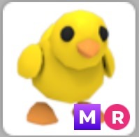 (Category: ) located in . Submitted by adoptmeprincess (Listing ID 1460822544, Image 1). Description: .