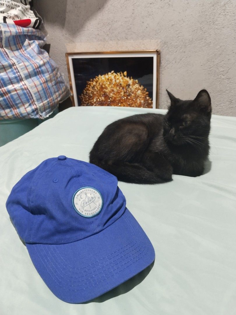 Poler dad hat (Category: Caps & Hats) located in Legazpi City. Submitted by genobecollectives (Listing ID 1460854688, Image 1). Description: Poler dadhat 500 + sf - Features: Adjustable strap at the back - very good condition -one size fits all.