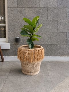 (Kategori: ) berada di . Dikirim oleh rynz27 (ID iklan 1460721037, Gambar 1). Deskripsi: .