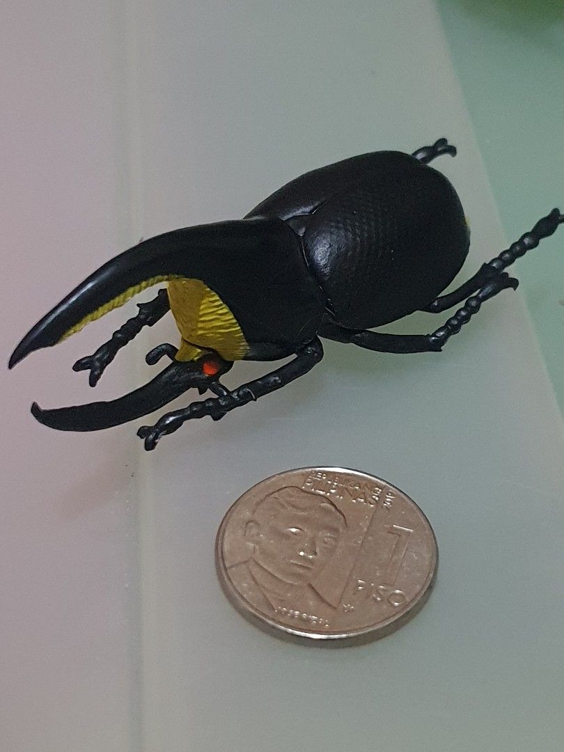 Rhinoceros Beetle insect Toy (Category: Figurines & Statues) located in Quezon City. Submitted by collectionneursonline88 (Listing ID 1460720448, Image 1). Description: 🔄 Meetups Balintawak Camachile 7/11 Quezon City 🛵 Shipping : - Lalamove ( except Provincial) - Flash Express - GogoExpress - LBC 📥 Payment : cash on meetups Gcash.