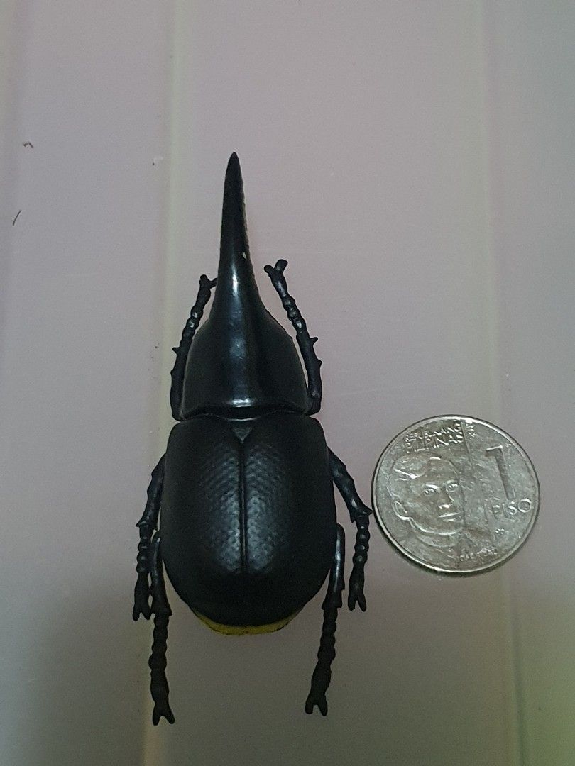 Rhinoceros Beetle insect Toy (Category: Figurines & Statues) located in Quezon City. Submitted by collectionneursonline88 (Listing ID 1460720448, Image 2). Description: 🔄 Meetups Balintawak Camachile 7/11 Quezon City 🛵 Shipping : - Lalamove ( except Provincial) - Flash Express - GogoExpress - LBC 📥 Payment : cash on meetups Gcash.