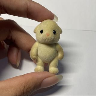 (Category: ) located in . Submitted by kiahuxley (Listing ID 1460722363, Image 1). Description: .