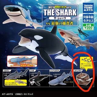 （分類：）位於 。 由 kelvinkps 提交（商品編號 1460879264，圖片 1）。簡介： 。