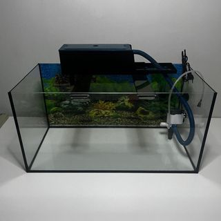 (Category: ) located in . Submitted by boyuan.aqua (Listing ID 1460842063, Image 1). Description: .