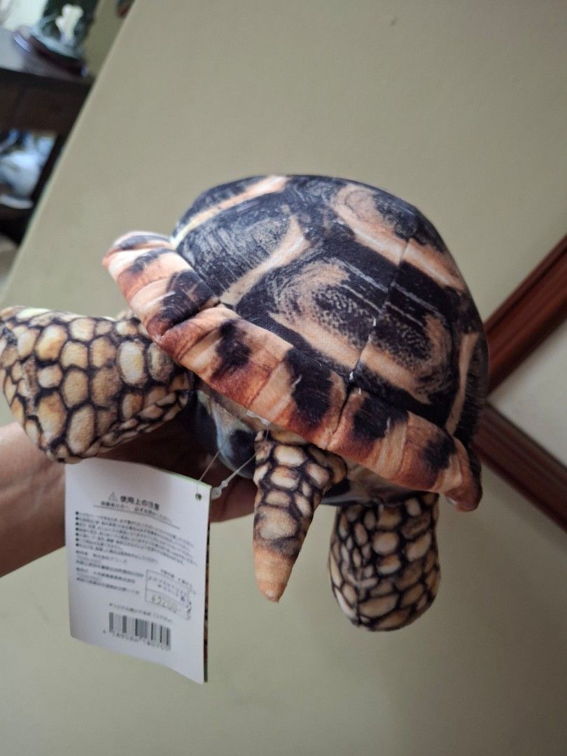 Tortoise Stuffed Toy (Category: Plushies & Soft Toys) located in Quezon City. Submitted by pure_trinsky (Listing ID 1460755136, Image 3). Description: *Realistic tortoise *no flaws *Rare *cute.