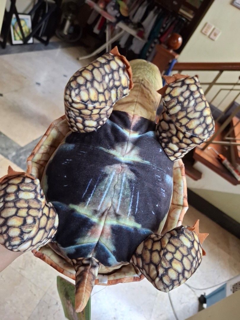 Tortoise Stuffed Toy (Category: Plushies & Soft Toys) located in Quezon City. Submitted by pure_trinsky (Listing ID 1460755136, Image 2). Description: *Realistic tortoise *no flaws *Rare *cute.