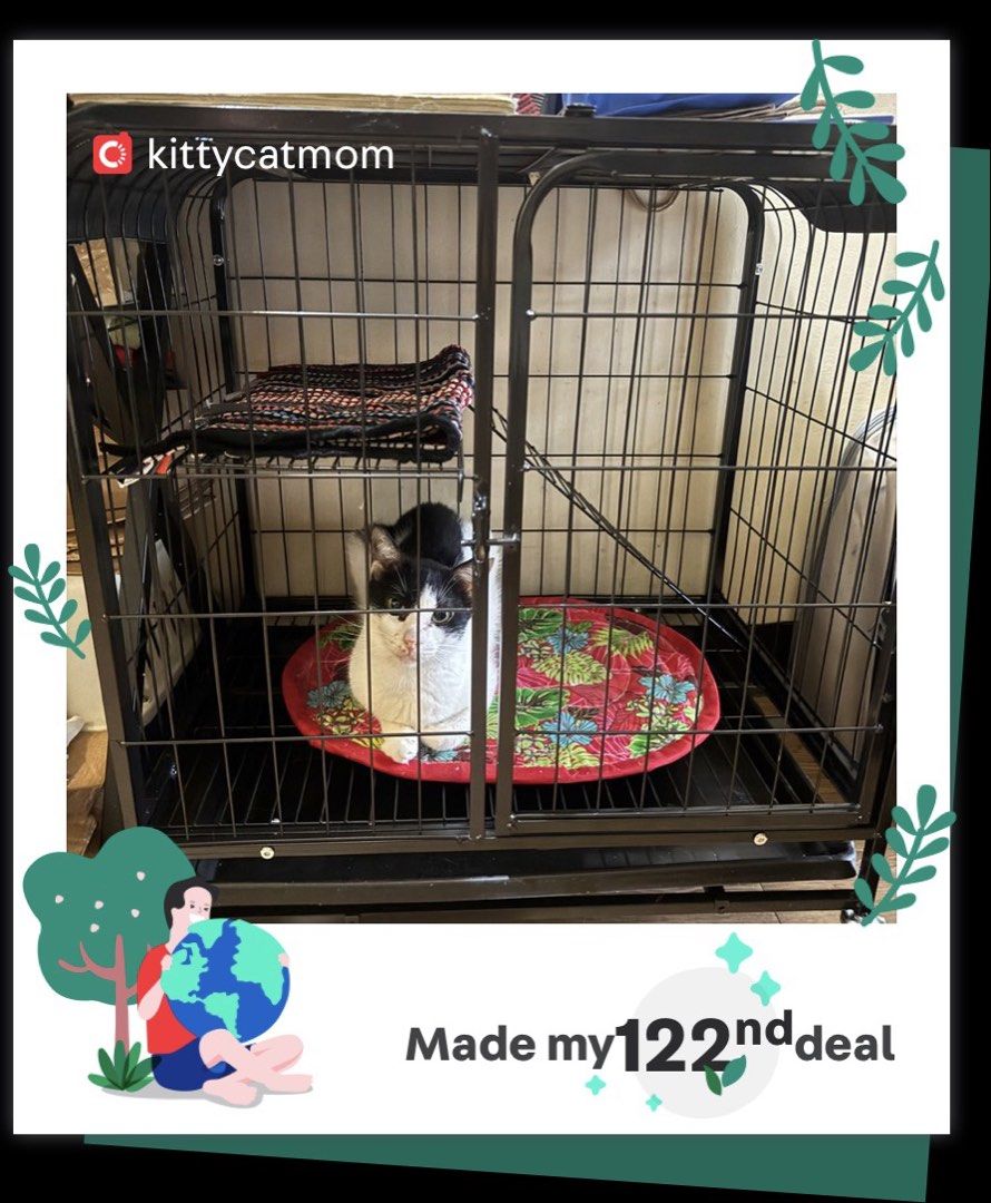 122 Deal! (Category: Announcements) located in Quezon City. Submitted by kittycatmom (Listing ID 1460940169, Image 1). Description: .