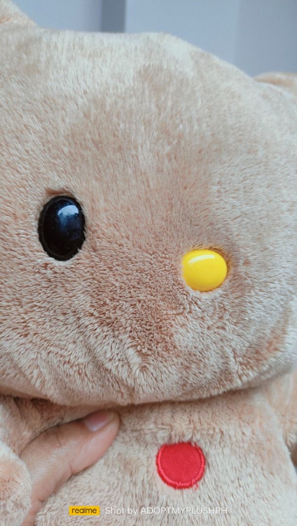 2012 Sanrio Gingerbread Hello Kitty plush (without bow) (Category: Plushies & Soft Toys) located in Taguig. Submitted by adopt.my.plush.ph (Listing ID 1461011007, Image 3). Description: Build-A-Bear Sanrio Gingerbread Hello Kitty plush released in 2012 18-inch brown plush styled like a gingerbread cookie with white icing accents and colorful button details on the chest. ‼️Last Price (LP) Posted. Fixed. Non-negotiable. Not subject to a bundle pric