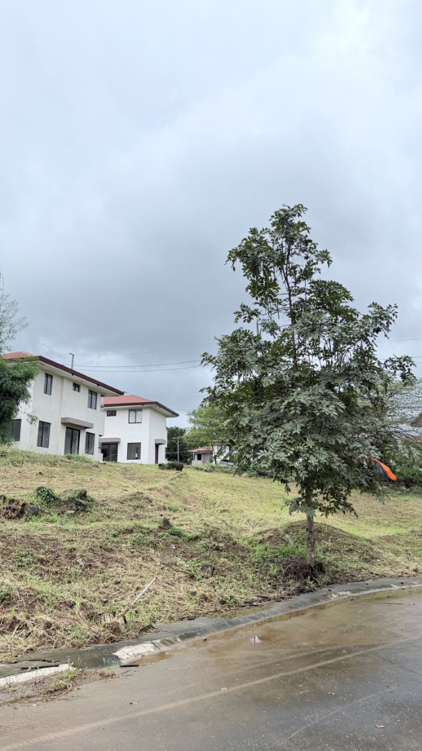 (Category: ) located in . Submitted by remax.portfolio (Listing ID 1460972175, Image 1). Description: .